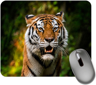 dk printing Tiger Aaya Re Printed Mouse Pad Mousepad(Black)