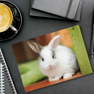 dk printing Super F9 Rabbit Printed Mouse Pad Mousepad(Black)