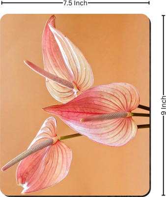 Printile MOUSE PAD 0.24 Non Slip Base Mousepad(Red&Tan)