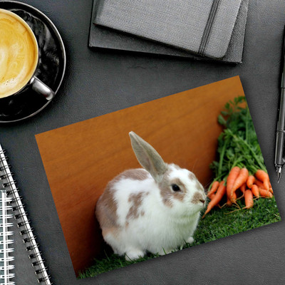 dk printing Super 123 Rabbit Printed Mouse Pad Mousepad(Black)