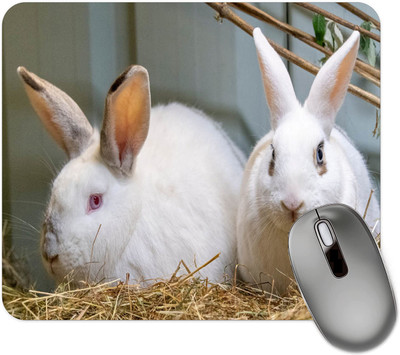 dk printing Rabbit Couple Lover Printed Mouse Pad Mousepad(Black)