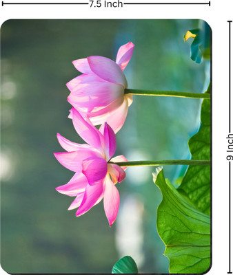 Printile MOUSE PAD 0.62 Non Slip Base Mousepad(Green&Pink)