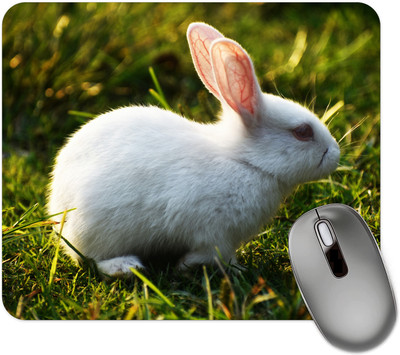 dk printing Rabbit No.1 Printed Mouse Pad Non Slip Base Mousepad(Black)