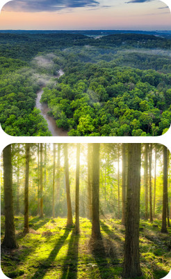 escope Pack fo 2 Nature Printed MousePad for Computer, PC, Laptop Mousepad(Mousepad Nature 5&6)