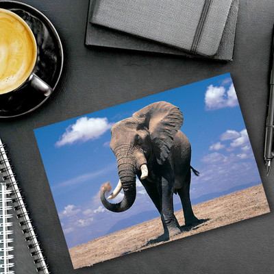 dk printing Dhinchak123 Elephant Printed Mouse Pad Non Slip Base Mousepad(Black)