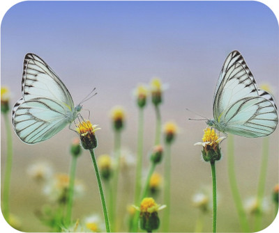 LDma MP-Nature-033 Mousepad(MultiColor 1)