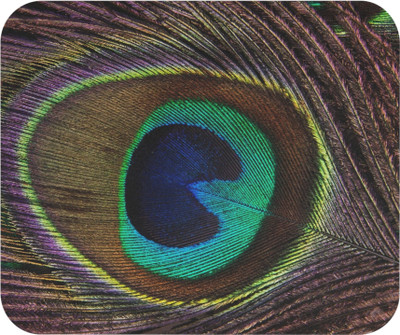 LDma MP-Nature-018 Mousepad(MultiColor 44)
