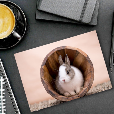 dk printing Bunny-in-a-Wooden-Flower-Pot Printed Mouse Pad Mousepad(Black)