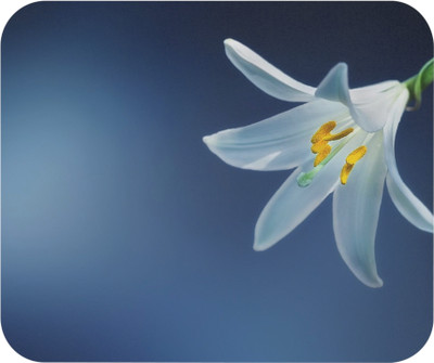 LDma MP-Nature-039 Mousepad(MultiColor 56)
