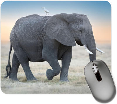 dk printing Elephant In Jungle Printed Mouse Pad Non Slip Base Mousepad(Black)