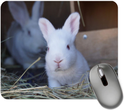 dk printing Jhkkas Rabbit Printed Mouse Pad Mousepad(Black)