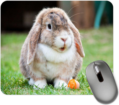 dk printing Oye Rabbit Printed Mouse Pad Non Slip Base Mousepad(Black)