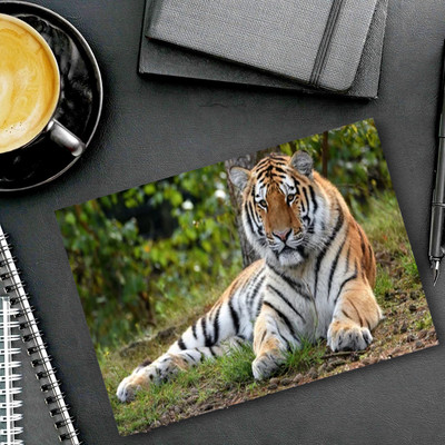 dk printing 786 Tiger Printed Mouse Pad Mousepad(Black)