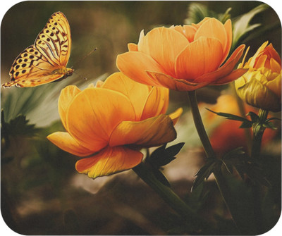 LDma MP-Nature-043 Non Slip Base Mousepad(MultiColor 56)