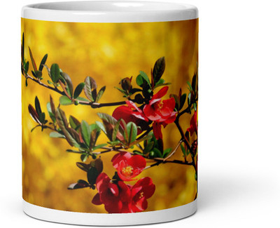 Cheeksy Red flower Ceramic Coffee Mug(350 ml)