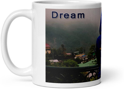 Mr UVD LBSNAA University Collage Student Ceramic Coffee Mug(350 ml)