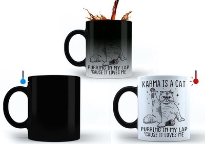 craft maniacs TAYLOR SWIFT KARMA CAT PRINTED MAGIC COLOR CHANGING MUG FOR SWIFTIES Porcelain Coffee Mug(330 ml)