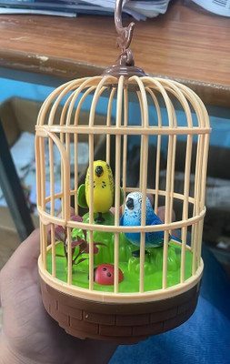 hda group 00B1irthday Gift for [Kids [ Singing Parrot for Kids] (Bird cage)(Multicolor)