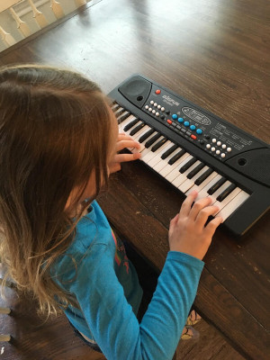 BIGFUN The 37 Key Piano Keyboard Toy with Recording, Mic and USB Cable for Power-04(Black)