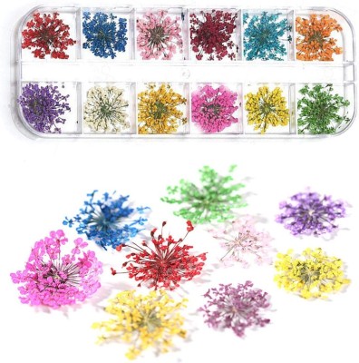 she pro 12 Patterns 3D Dry Flowers Stickers Real Dried Flower Nail Art Decoration(Multcolor)