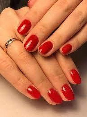 Luipui best trending matte red color nail polish pack of 1 red