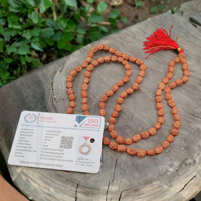 Dharmsaar Dharmsaar 4 Mukhi Nepal Rudraksha Original Certified Mala Rudraksha Necklace