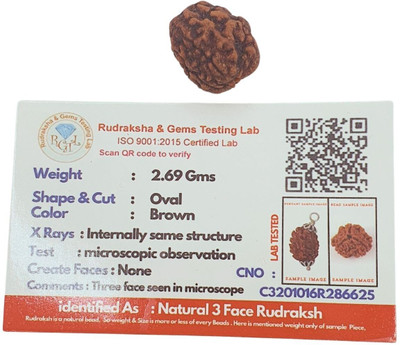 Banke Collection Original 03 three Mukhi Rudraksha/Natural 03 Face Rudraksha Wood Necklace