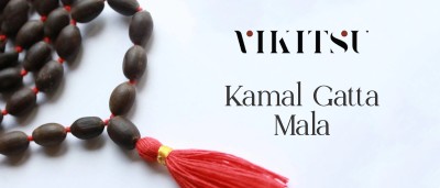 VIKITSU 108 Big Lotus Seeds Kamal Gatta Japa Mala for Laxmi Pooja and Wearing Wood Chain