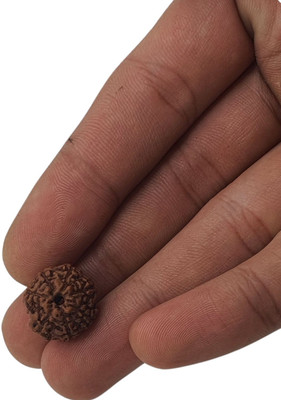 Astro Shop Imitation 7 Faced Mukhi Rudraksha/ seven-Faced Orignal Pendant For Unisex Wood Necklace Set