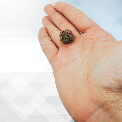 AllenDazzy 4 mukhi rudraksha pendant Beads Wood Pendant Set
