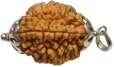 Beautum ORIGINAL 2 MUKHI NEPALI RUDRAKSHA WITH METAL CAPPING Wood Pendant