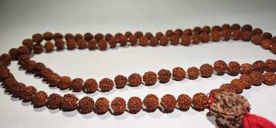 Rudraksham 7 Mukhi Nepali Rudraksha With 7mm Five Mukhi Rudraksha Mala Rudraksha Chain