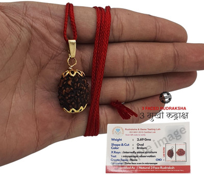 Madhavi Jewellery Premium three Mukhi Rudraksha / Original Nepali 3 faced / 3 Mukhi Rudraksha Gold-plated Plated Brass Necklace