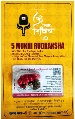 Robin Export Company 5 Mukhi Rudraksha Five Faced Nepali Rudraksha With Certificate Lab Test Sterling Silver Beads Wood