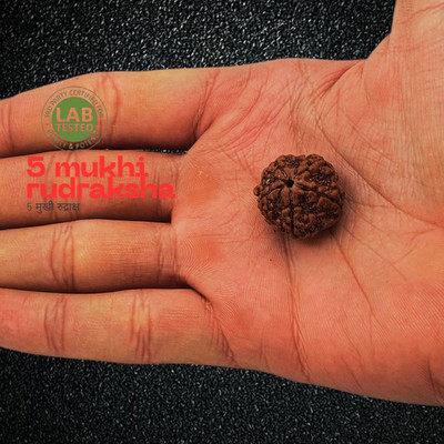 urbanzebra Five/5 Mukhi Rudraksha Pendant With Red Dhaaga and Certificate Beads Wood Necklace Set