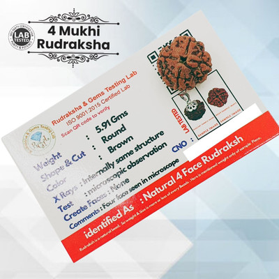 urbanzebra 4 Mukhi Rudraaksh Nepali Origin 12-20mm Plus size Beads Wood Locket