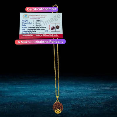 LOTUS Store Six Mukhi/Faced Rudraksha Astrological | Positive Effect | Unisex Both Beads Gold-plated Plated Brass, Wood Necklace Set