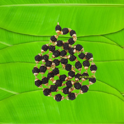 Astrodidi Black 5 Mukhi Rudraksha Mala with Golden Cap for Men/Women Wearing Gold-plated Plated Brass, Rudraksha Chain