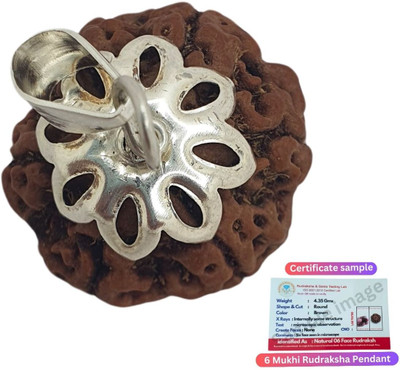 Kuttumb Gems & Jewels six Mukhi Rudraksha Certified/Original Nepali 6 Mukhi Rudraksh/Natural 6 Faced Beads Silver Plated Brass, Wood Chain Set
