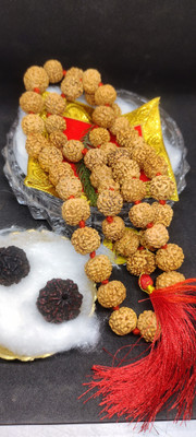 Shiv Aastha Pure Original 7 Mukhi Nepali Rudraksha Mala 54+1 With 6Face Black Rudraksha Beads Rudraksha Necklace Shiv Aastha Pure Original 7 Mukhi Nepali Rudraksha Mala 54+1 With 6Face Black Rudraksha Beads Rudraksha Necklace