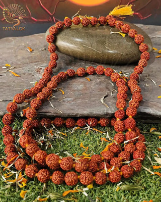 TATVALOK 5 Mukhi Rudraksha Mala 8.5 mm Pancha Mukhi Beads for Meditation, Focus & Health Rudraksha Chain