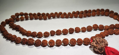 Rudraksham 7 Mukhi Nepali Rudraksha With 7mm Five Mukhi Rudraksha Mala Rudraksha Chain