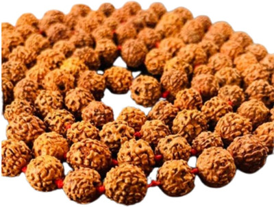 Himalyaharidwar 5 Mukhi 2mm Rudraksha Mala 108+1 Beads for Meditation & Daily Wear Rudraksha Chain