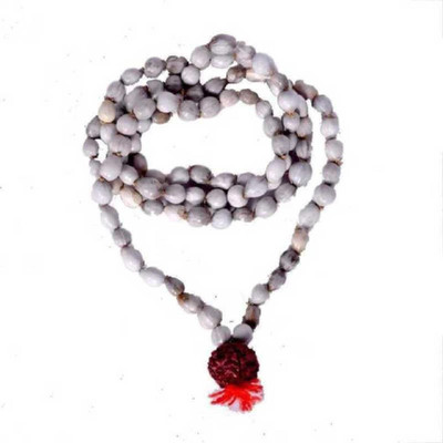 SHRI ASTHA VINAYAK Wood Chain
