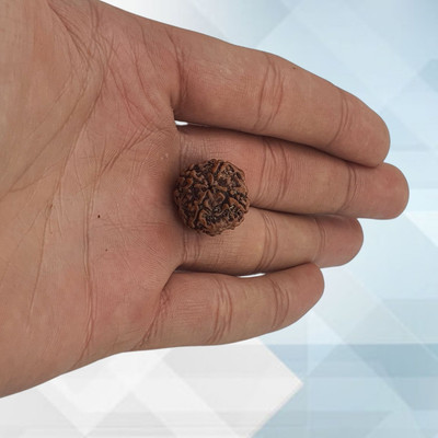 GopalaBro Lab Certified Natural 4 Mukhi Rudraksha Bead Nepali 4 Face Rudraksha Beads Wood Locket Set
