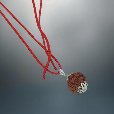 A1 yashvriddhi Real Five Faced Rudraksha 5 Mukhi Rudraksha Pendant in Beads Silver Plated Brass, Wood Chain