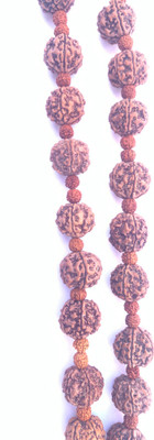 Rudraksham 5 Mukhi Rudraksha Kantha Kawach – Premium Indonesian & Nepali Combination Rudraksha Chain