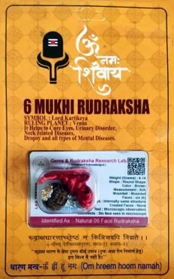 Robin Export Company 6 Mukhi Nepali Rudraksha Six face With tab tested Certificate Beads Sterling Silver Plated Rudraksha Chain