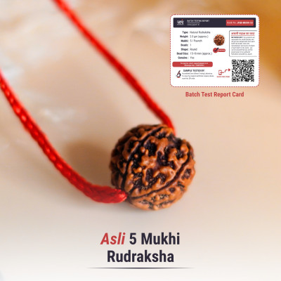 Japam Har Ghar Mein Rudraksha Wood
