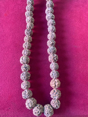 Rudraksham 5 Mukhi 12mm Java Rudraksha Mala With Five Nepal Sumeru Rudraksha 108+1 Beads Rudraksha Chain
